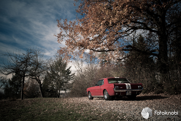 Ford Mustang Ford Mustang